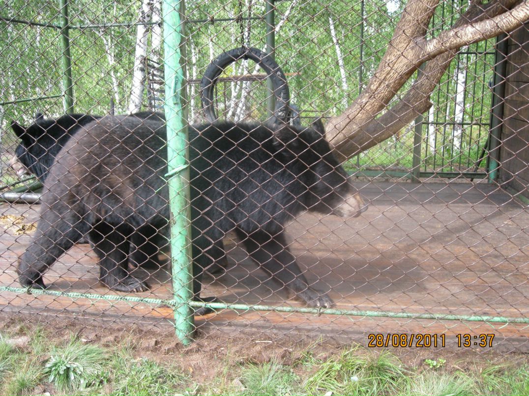 Александр Рыков фотография #10