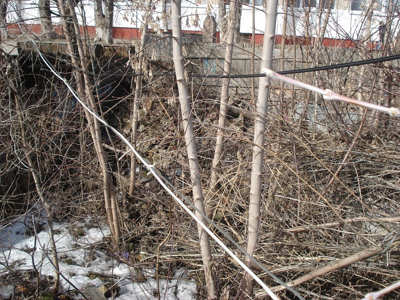 Иван Мариченко фотография #36