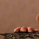 Віт@lic Хомяк фотография #24 (источник - https://vk.com/id136191077)