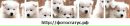 Іваночка Дідух фотография #27 (источник - https://vk.com/id103529070)