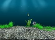 Катя Паньків фотография #5 (источник - https://vk.com/id162318244)