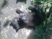 Іван Турчин фотография #22 (источник - https://vk.com/id12692263)