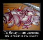 Міша Кальніцький фотография #17 (источник - https://vk.com/id5962739)