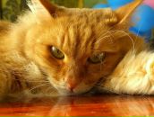 Фотография Шалыгина Дмитрия