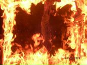 Фотография Бегиашвили Нодара