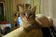 Виктор Андросов фотография #16 (источник - https://vk.com/id1914610)