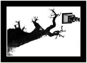 Максим Горбулин фотография #37 (источник - https://vk.com/id134638)