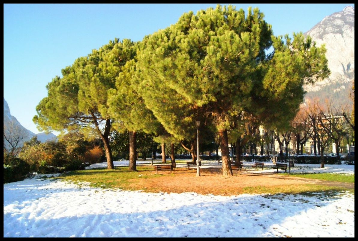 Максим Горбулин фотография #28