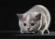 Фотография Поповой Алёны