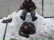 Anton Botvich фотография #4 (источник - https://vk.com/id642310)