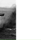 Андрій Сеньків фотография #31 (источник - https://vk.com/id125592035)