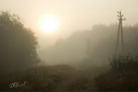 Дмитрий Орлов фотография #37 (источник - https://vk.com/id1305152)