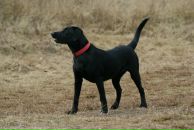 Вова Юрочкін фотография #16 (источник - https://vk.com/id15084244)