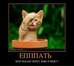 Андрій Мартинович фотография #46 (источник - https://vk.com/id58962999)