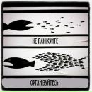 Юра Поліщук фотография #1