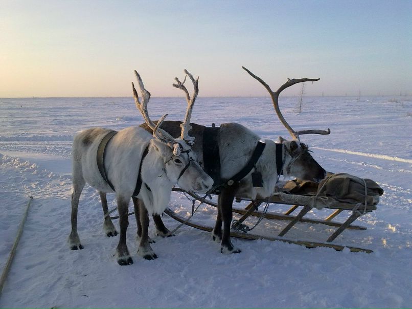 Витя Шатов фотография #12