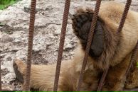 Фотография Варшавского Ивана