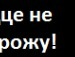 Аліночка Заблоцька фотография #25 (источник - https://vk.com/id153501016)