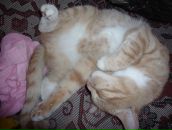 Фотография Савельевой Екатерины