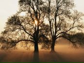 Фотография Вова Коган