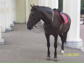 Назар Львівський фотография #17 (источник - https://vk.com/id33348630)