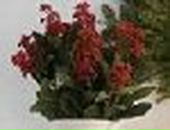 Ліля Сагайдак фотография #26 (источник - https://vk.com/id89238870)