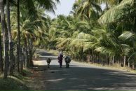 Даша Дашина фотография #37 (источник - https://vk.com/id2891457)