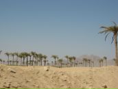 Сергій А фотография #1