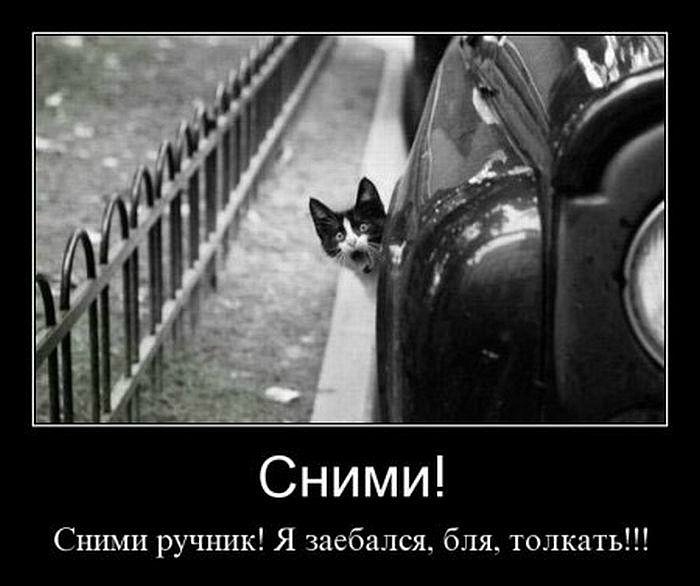 Антон Левченко фотография #37