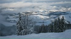 Андрій Зубрицький фотография #44 (источник - https://vk.com/id66248463)