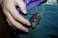 Фотография Добрея Бро