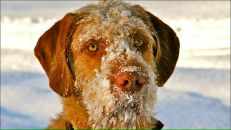 Максим Білобран фотография #36 (источник - https://vk.com/id4584478)