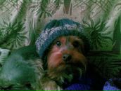 Фотография Яковлева Ольга