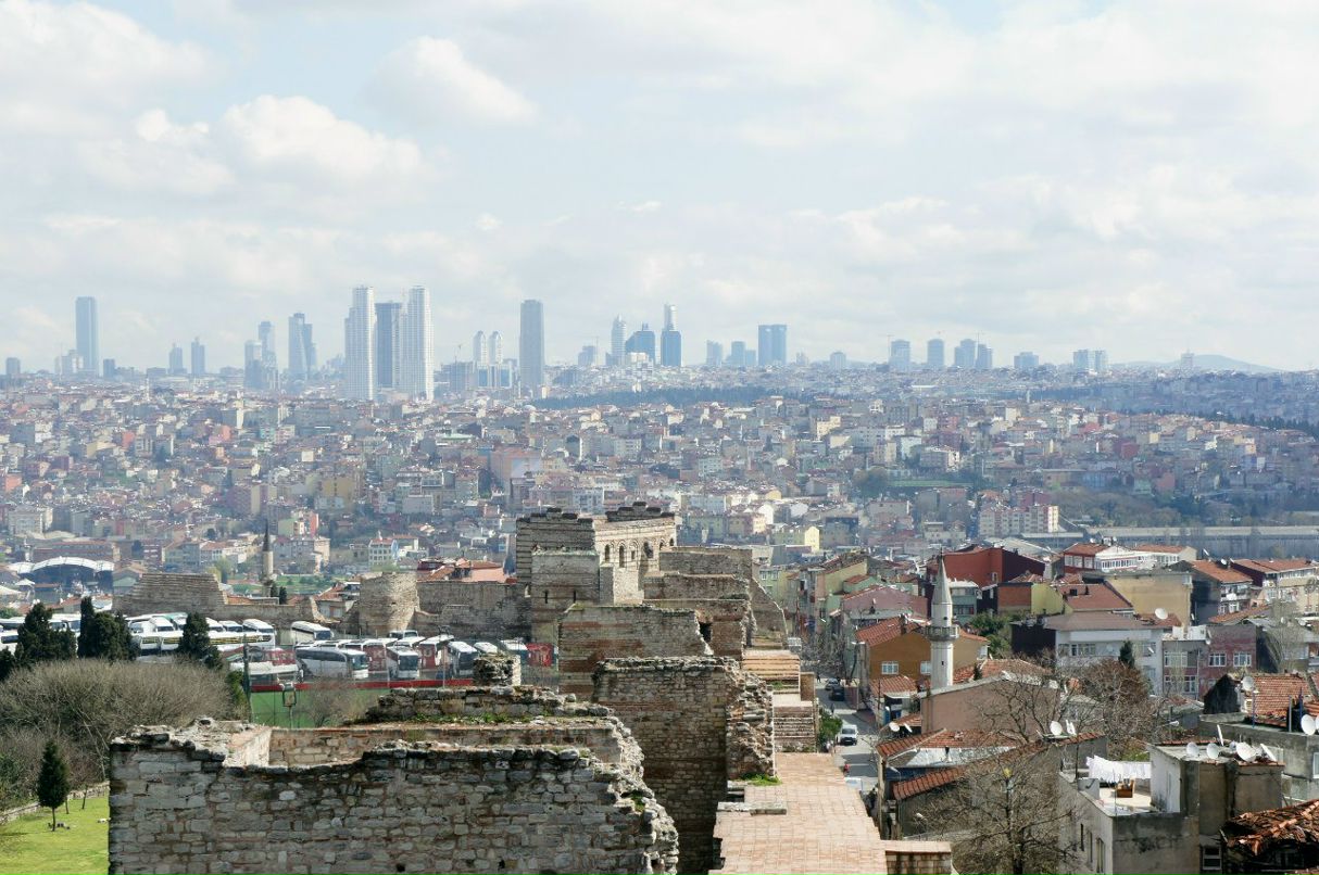 Роман Шипилов фотография #45