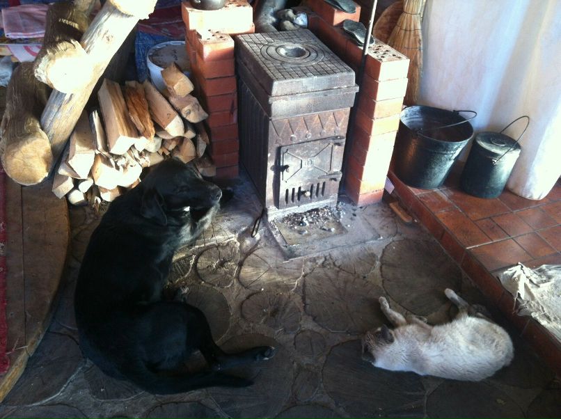 Дмитрий Нестеров фотография #40