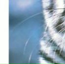 Орися Лошній фотография #20 (источник - https://vk.com/id29828846)