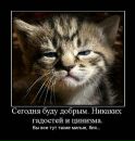 Фотография Кирьяновы Екатерины