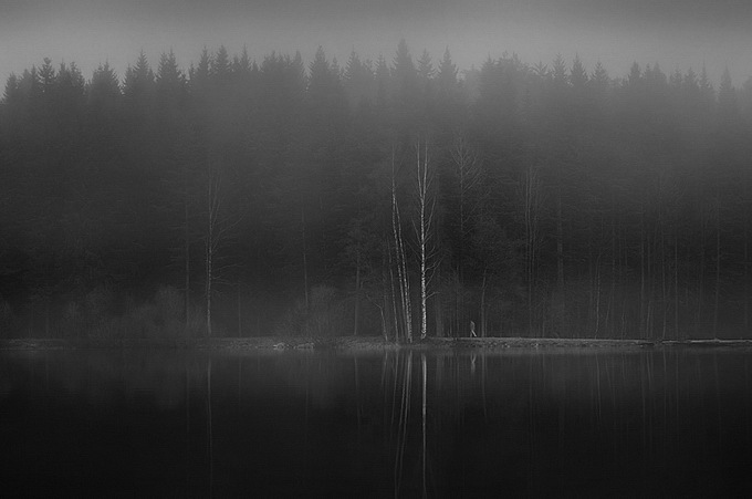 Камал Хумаев фотография #20