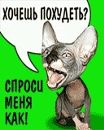 Настя Білінська фотография #41 (источник - https://vk.com/id124338280)