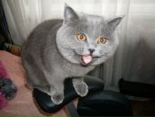 Фотография Радченко Маргариты