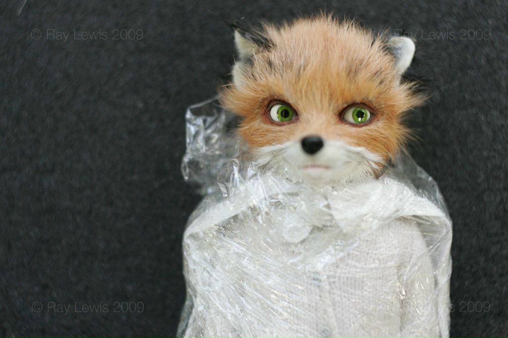 Mi Mi фотография #11