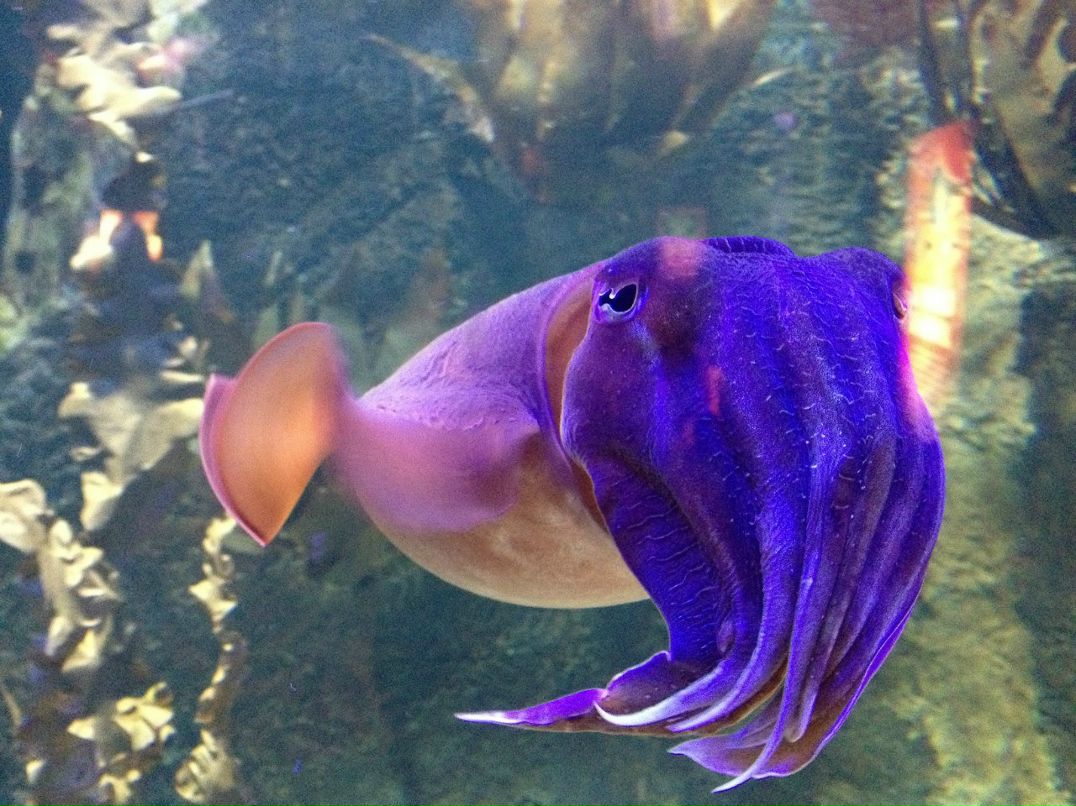 Слава Щербаков фотография #1