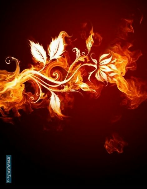 Yu Mayer фото №3