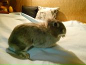 Фотография Скирдов Николай