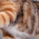 Антон Коваль фотография #46 (источник - https://vk.com/id152000495)