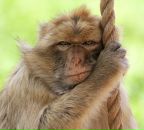 Фотография Плешковой Натальи