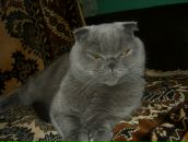 Фотография Иващенко Дмитрия