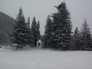 Макс Сікора фотография #30 (источник - https://vk.com/id107131596)