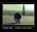 Фотография Ильинского Максима