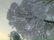 Андрей Камаев фотография #4 (источник - https://vk.com/id2346810)